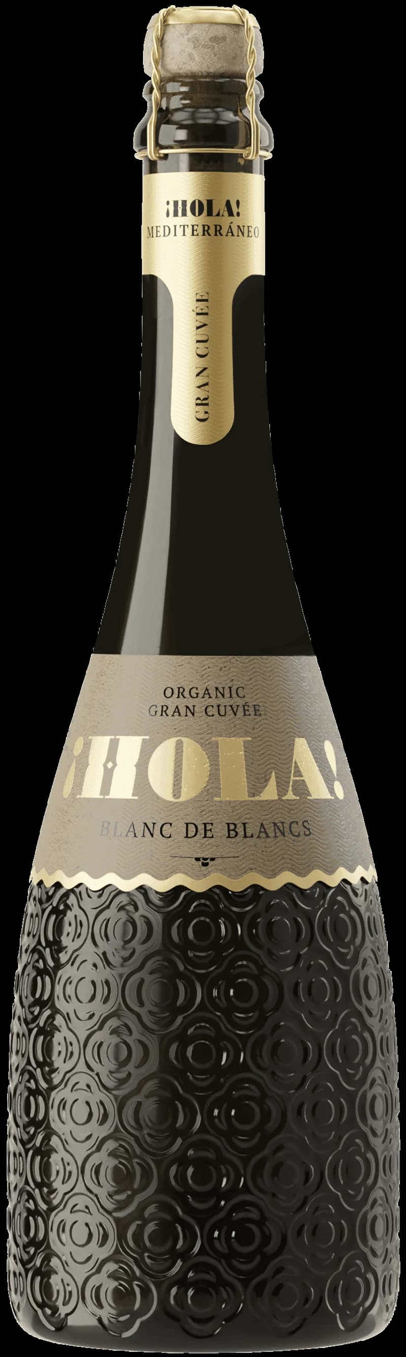Hola mousserande vin i ett glas med bubblor.