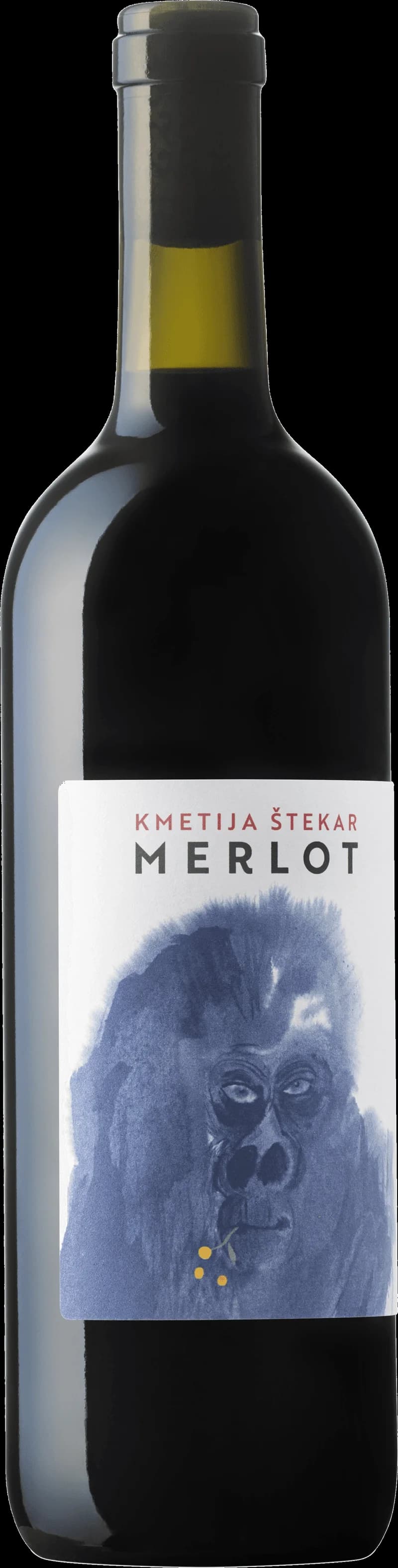 Flaska rött vin från Kmetija Stekar mot en neutral bakgrund.
