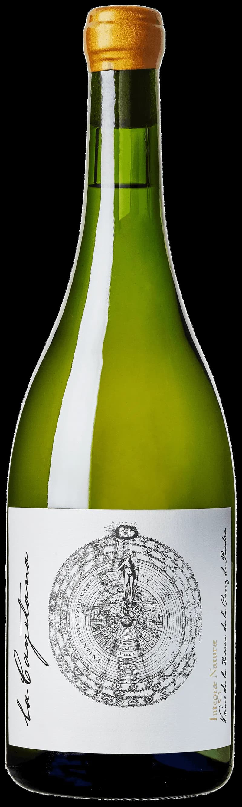 Flaska av La Cayetana vitt vin mot en ljus bakgrund.