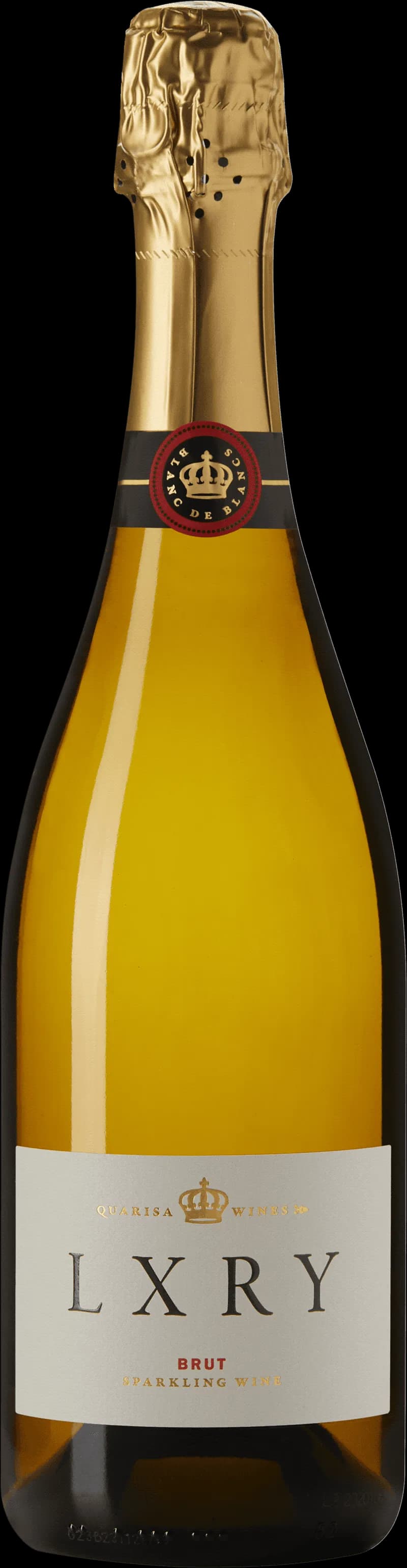 Fotografi av ett glas mousserande vin med bubblor mot en mörk bakgrund.