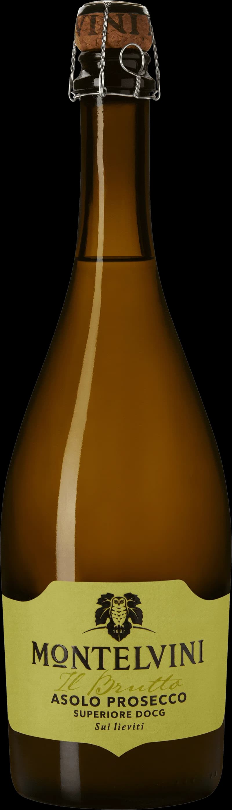 Flaska Montelvini mousserande vin mot ljus bakgrund