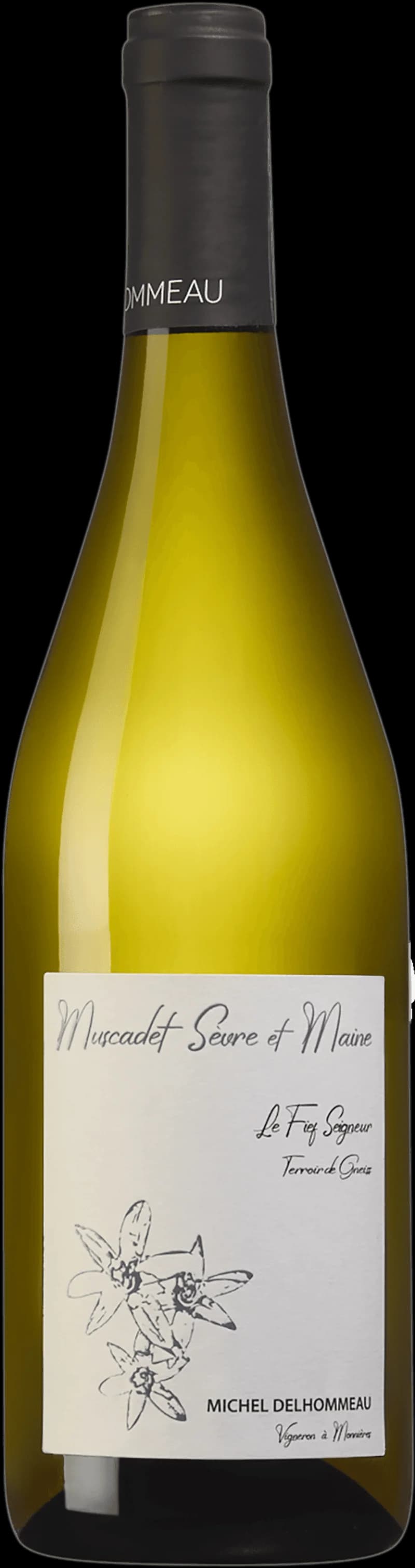 Flaska av vitt vin Muscadet Sèvre et Maine från Loiredalen.