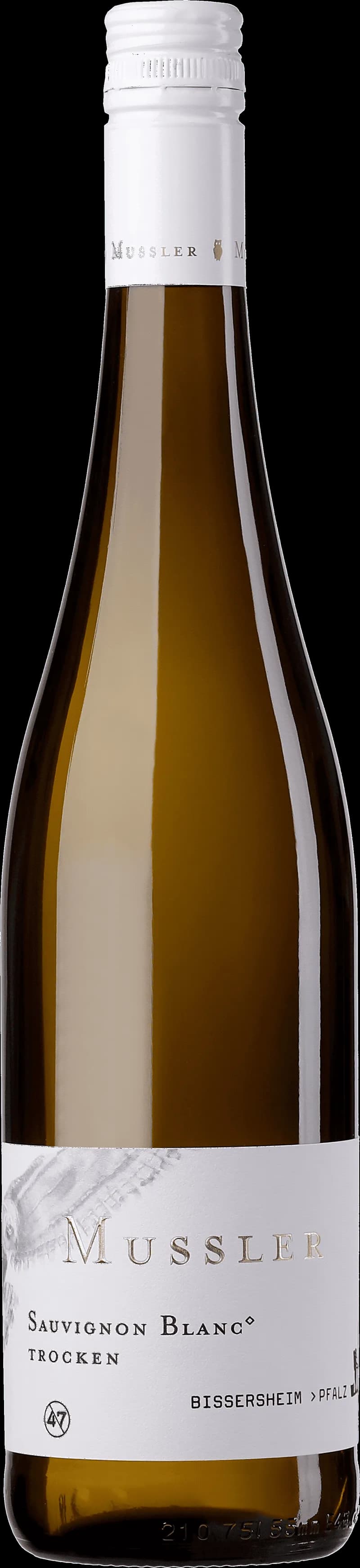 Musslor i en skål med vitt vin och örter.