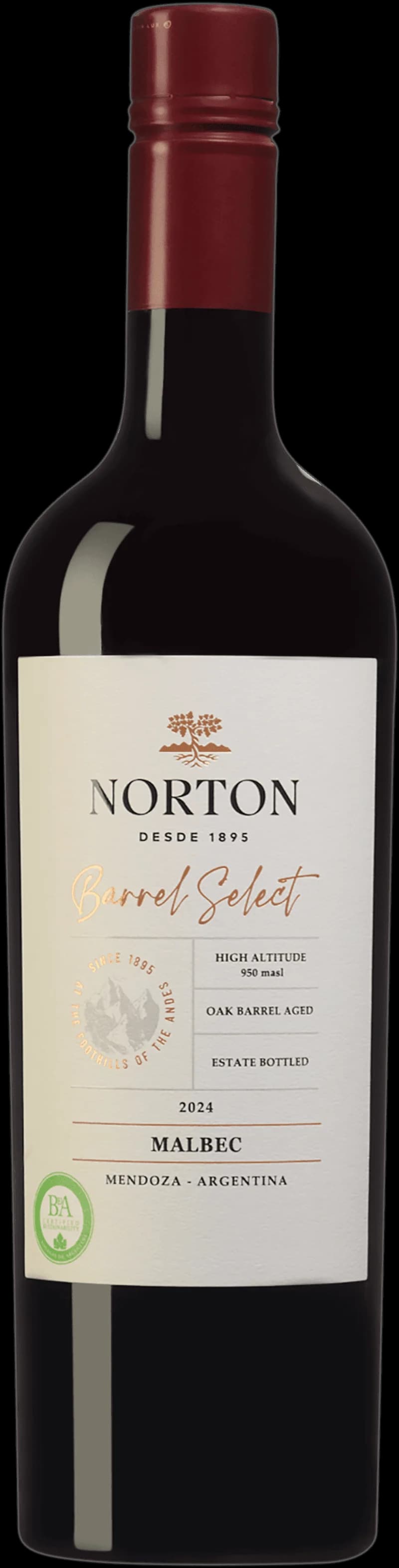 Flaska Norton rött vin från 2015 på vit bakgrund