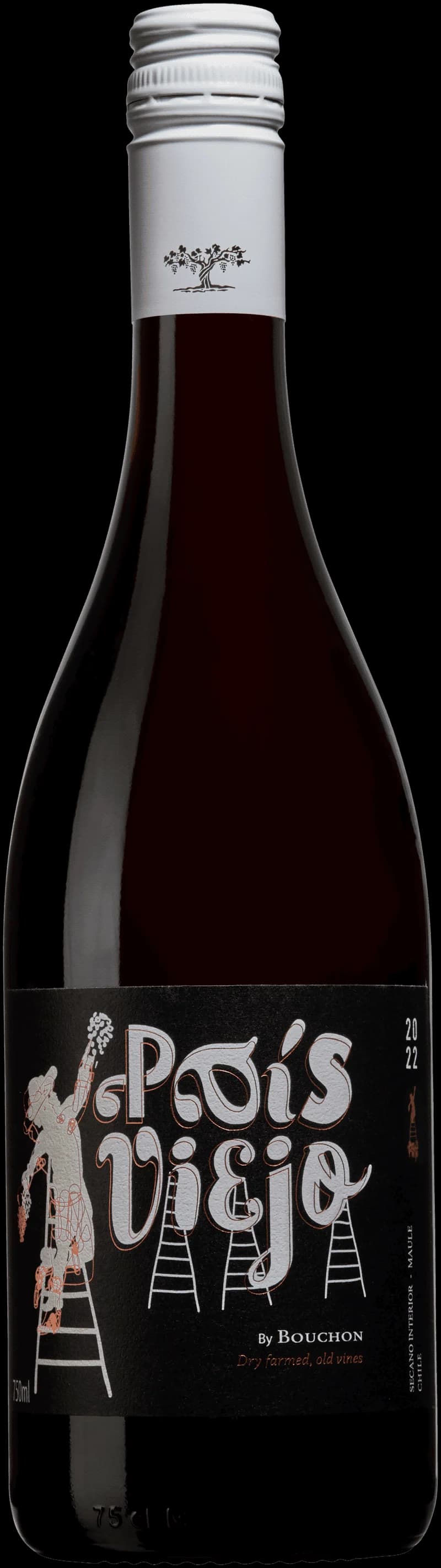 Flaska av rött vin Pås Viejo på en bordduk med glas i bakgrunden.
