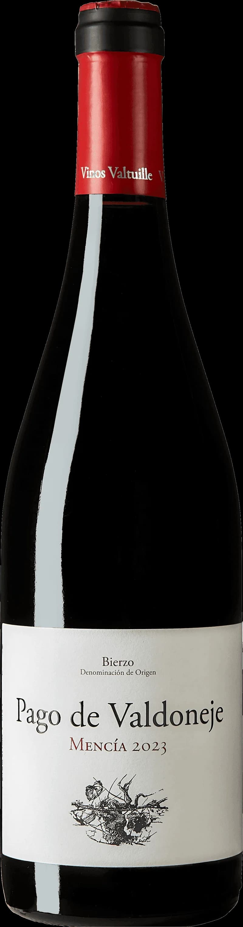Flaska av rött vin från Pago de Valdoneje