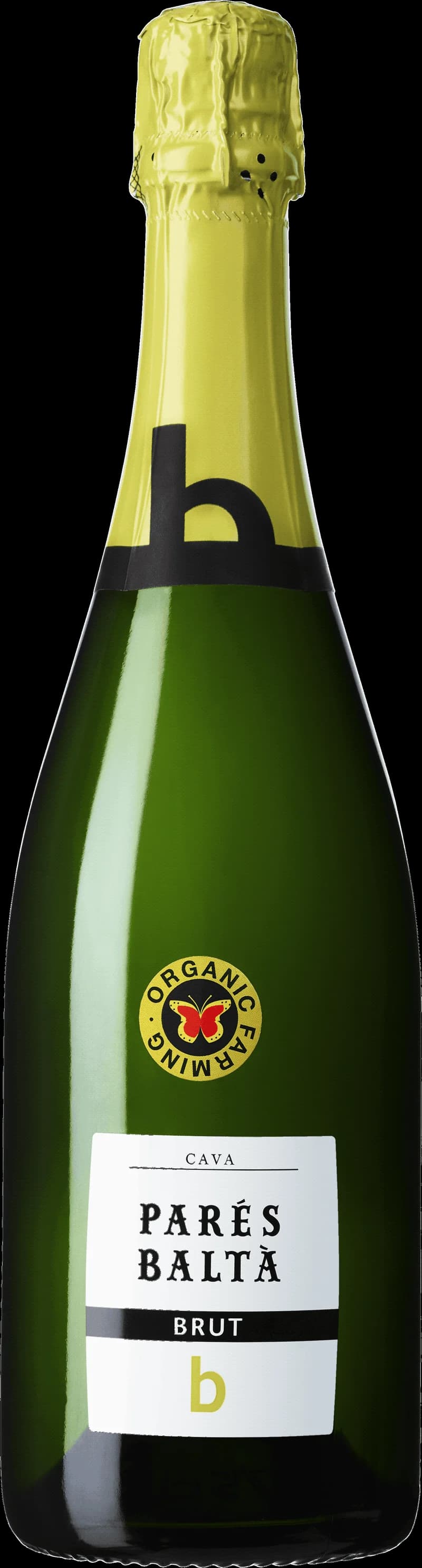 Pares Balt mousserande vin i ett glas med bubblor.