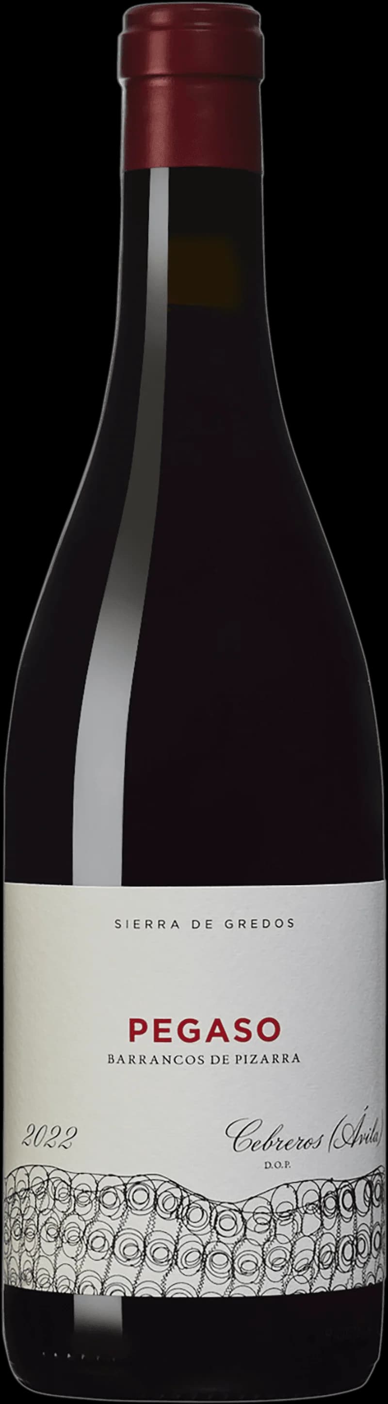 Flaska och glas med rött vin från Pegaso