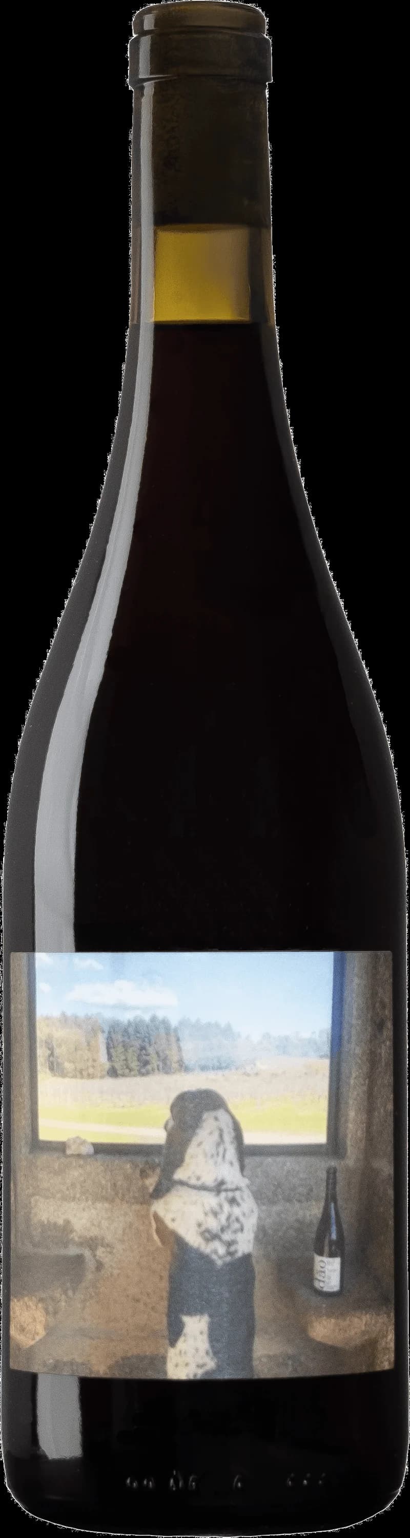 Flaska av Quinta da Pellada rött vin mot neutral bakgrund.