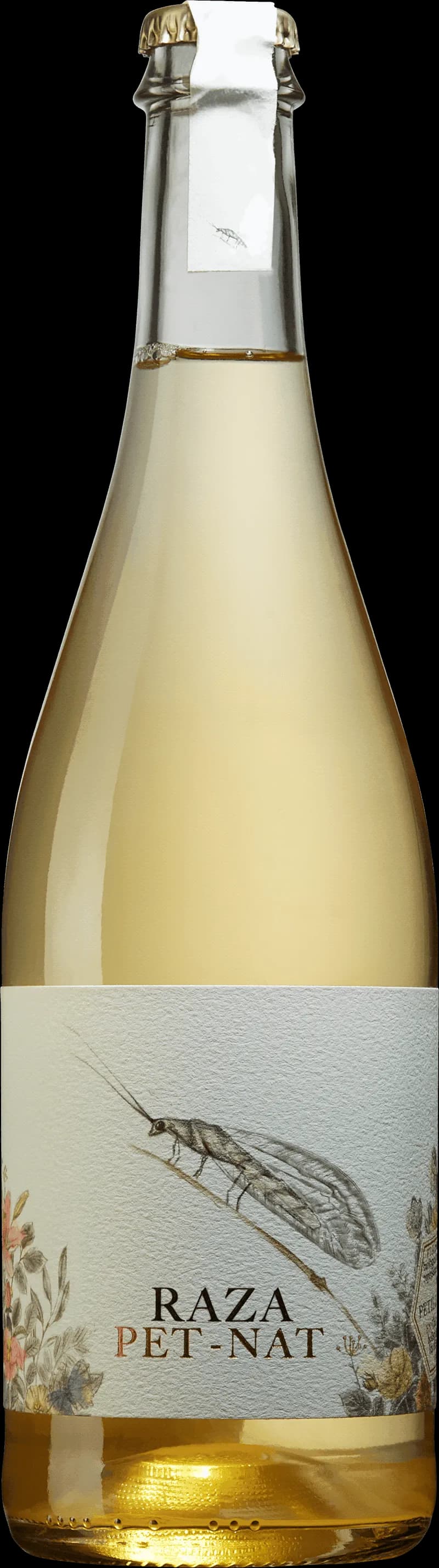 Raza mousserande vin i ett glas med bubblor