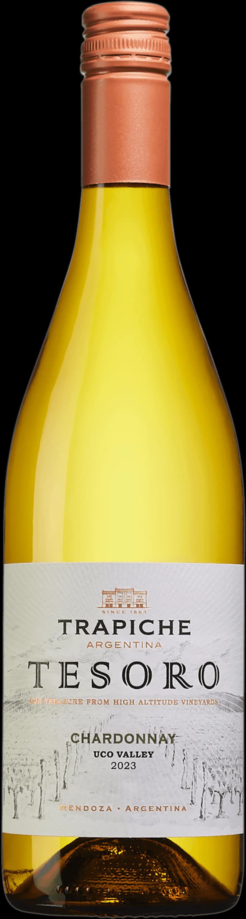 Flaska av Tesoro vitt vin, årgång 200201, på vit bakgrund.