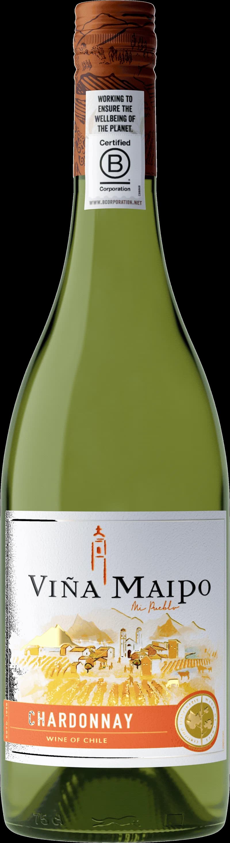 Flaska med Viña Maipo vitt vin mot en ljus bakgrund.