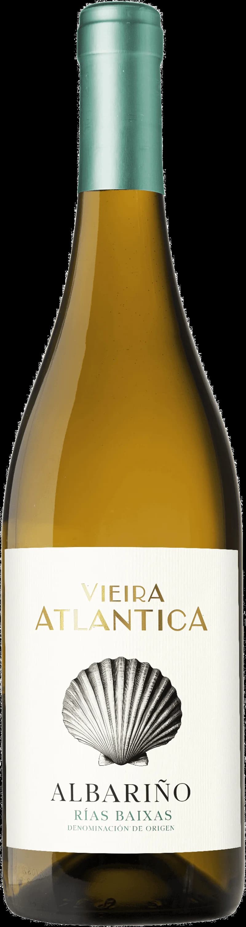 Vieira atlântica serverad med ett glas vitt vin på en tallrik.