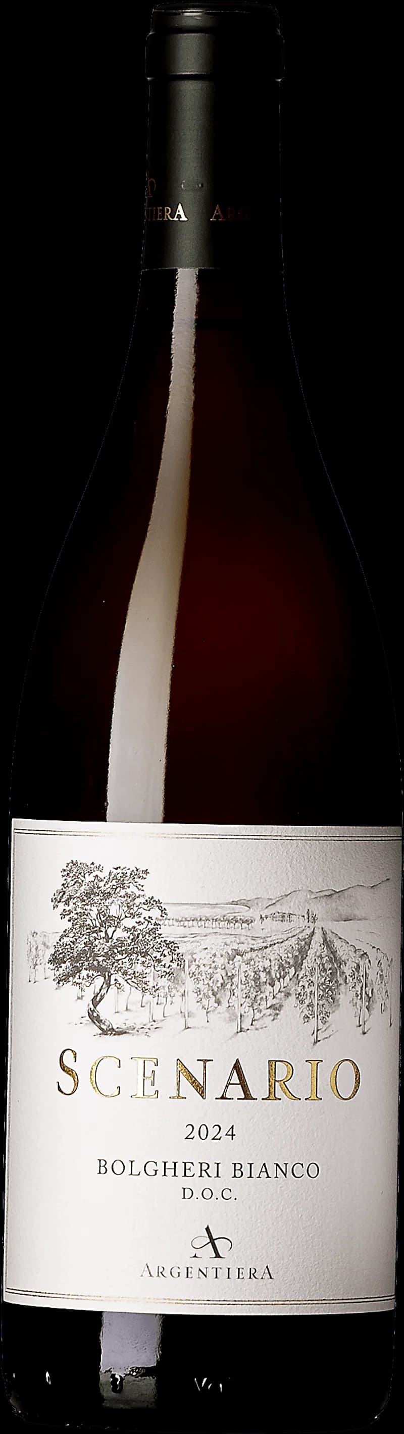 Flaska och glas med vitt vin från Argentiera