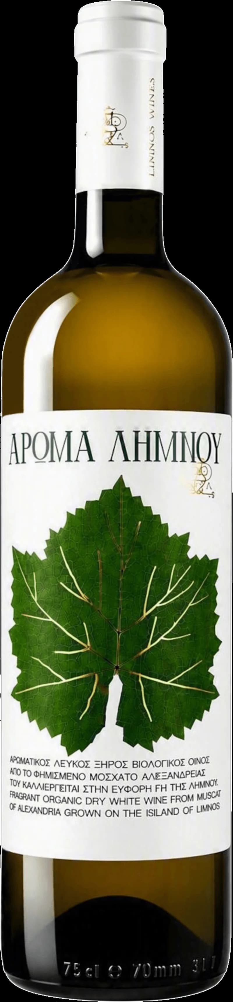 Aromatisk limnou serverad med ett glas vitt vin, en fräsch kombination av citrus och vin.