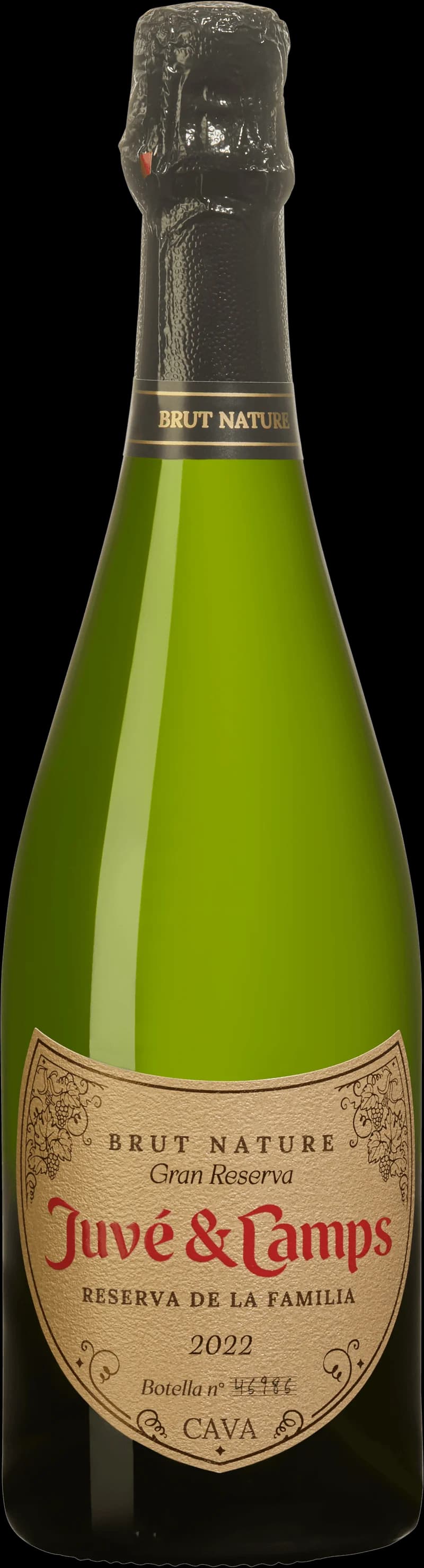Flaska Juve Camps mousserande vin, ett spanskt bubbel från Cava, fotograferad mot neutral bakgrund
