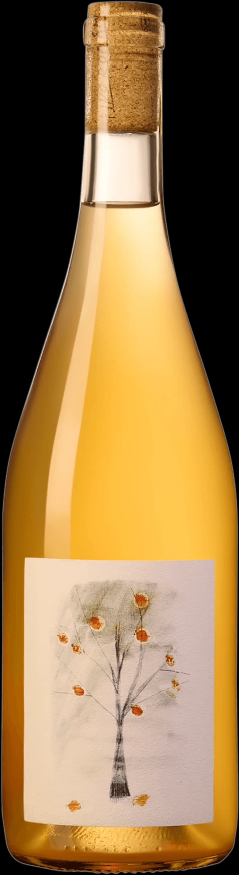 Pino Rom, rött och vitt vin, uppställt för provning och servering