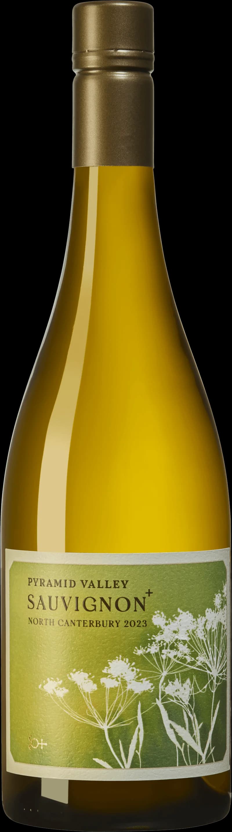 Flaska vitt vin från Pyramid Valley mot en ljus bakgrund