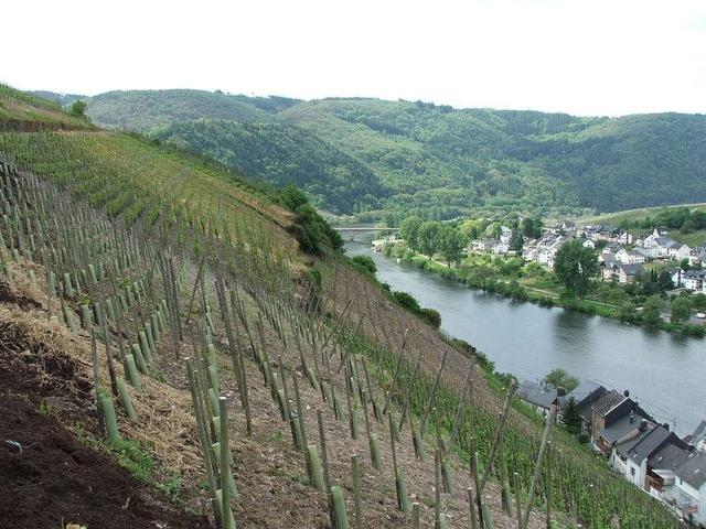 mosel-sahr-ruwer