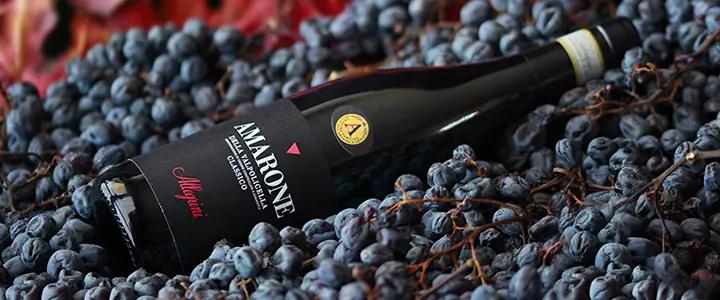 Vad passar till Amarone? De bästa maträtterna till Sveriges favorit bland fylliga rödviner
