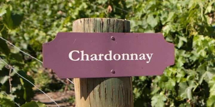 En Chablis som inte är ekfatslagrad är det ultimata Chardonnay-vinet