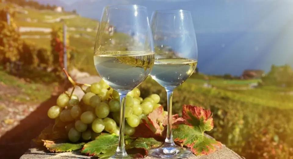 Riesling eller Chardonnay