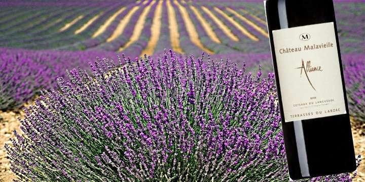 Elegant biodynamiskt vintips! När kvalitet går framför kvantitet…