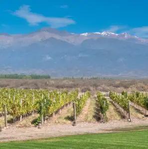 Argentina – fakta & 2 superviner att prova