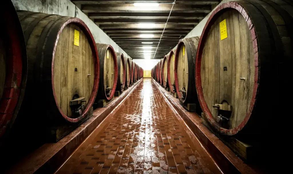 Valpolicella – möt vinmakerskan Cristiana Bettili