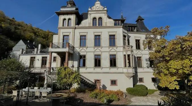 Wein Von 3 - vingården med ett slott