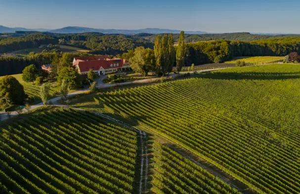 Herrenhof Lamprecht - Vingården som producerar ekologiska viner 