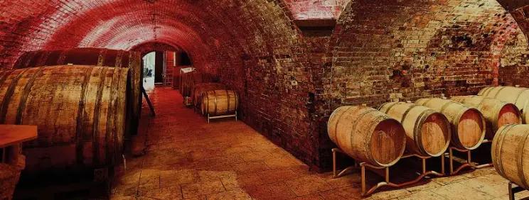 Weingut Neustifter - 100 meter lång vinkällare 