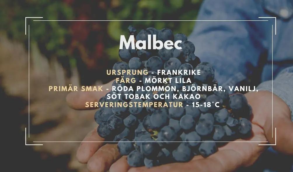 Allmän information om Malbec