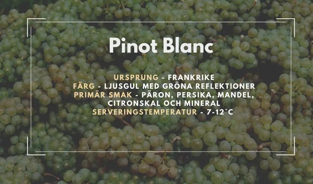 Allmän information om Pinot Blanc