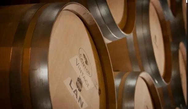 Wineries for Climate Protection – Vinproducenters hållbarhetsaktion