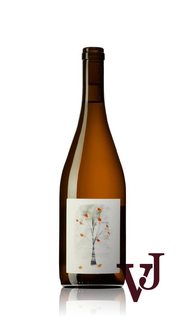 Pino Román Naranjo från www.vinjournalen.se