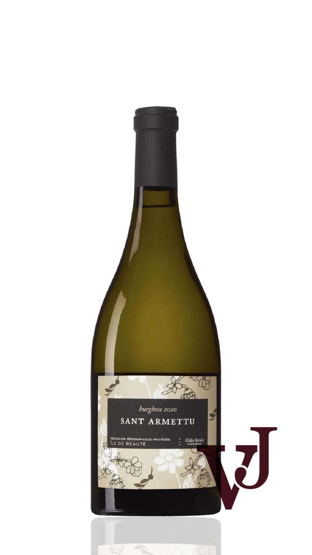 Domaine Sant’Armettu Burghese Blanc 2020 från www.vinjournalen.se
