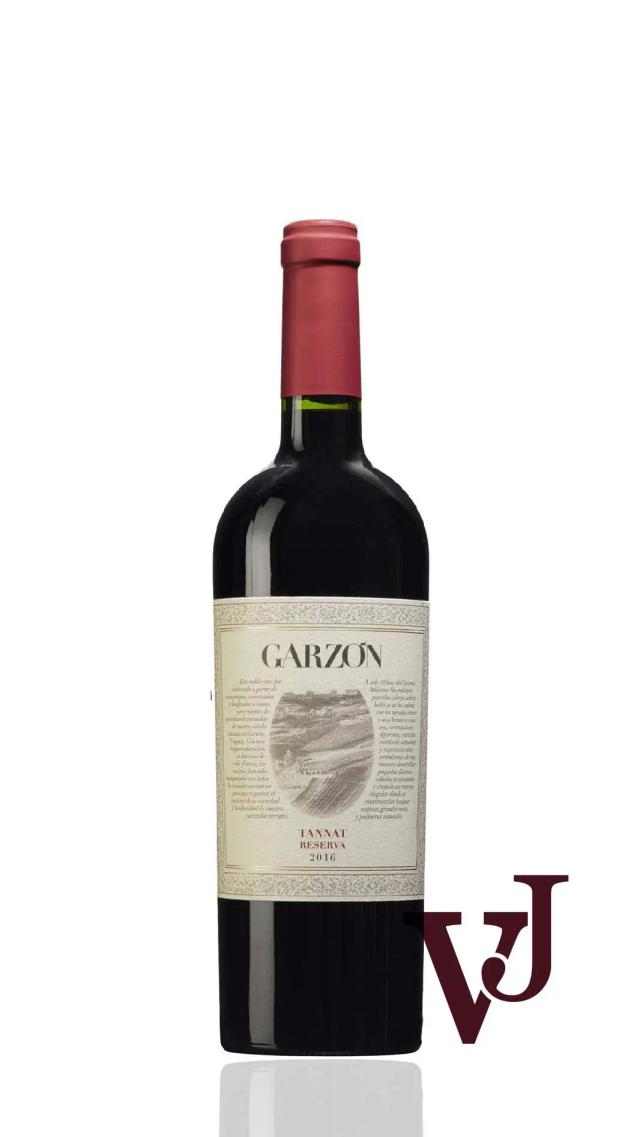 Garzón Reserva Tannat