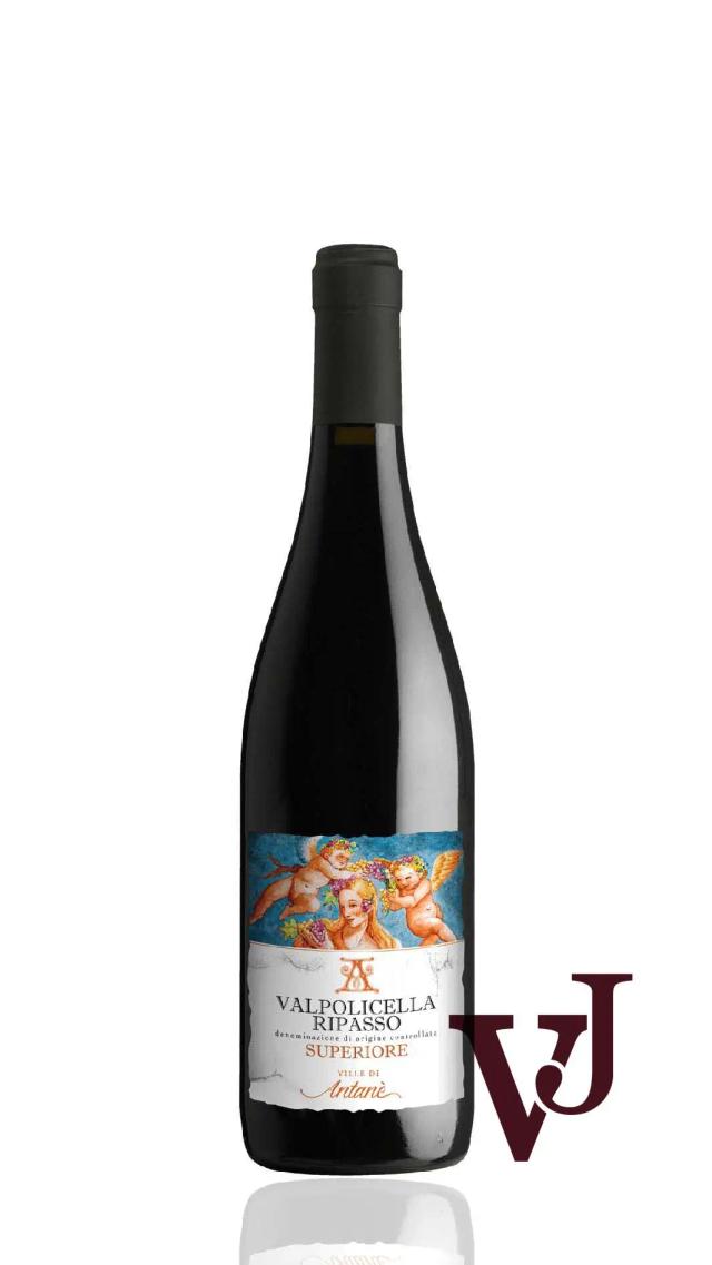 Le Ville di Antanè Valpolicella Ripasso Superiore