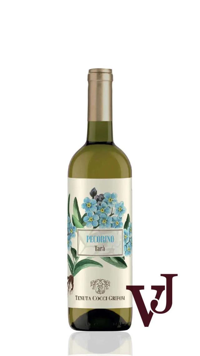 Tenuta Cocci Grifoni från www.vinjournalen.se