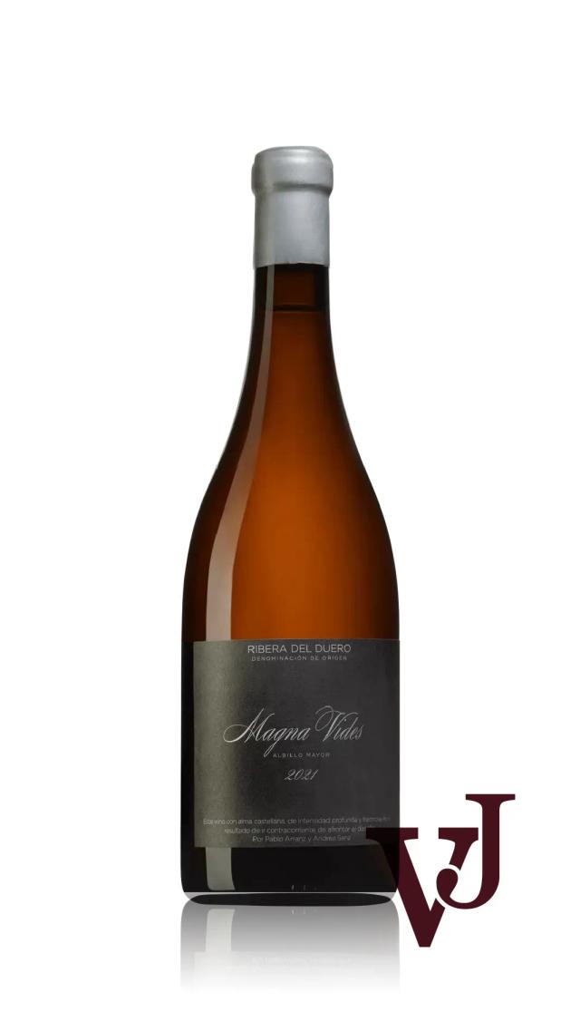 Magna Vides Blanco