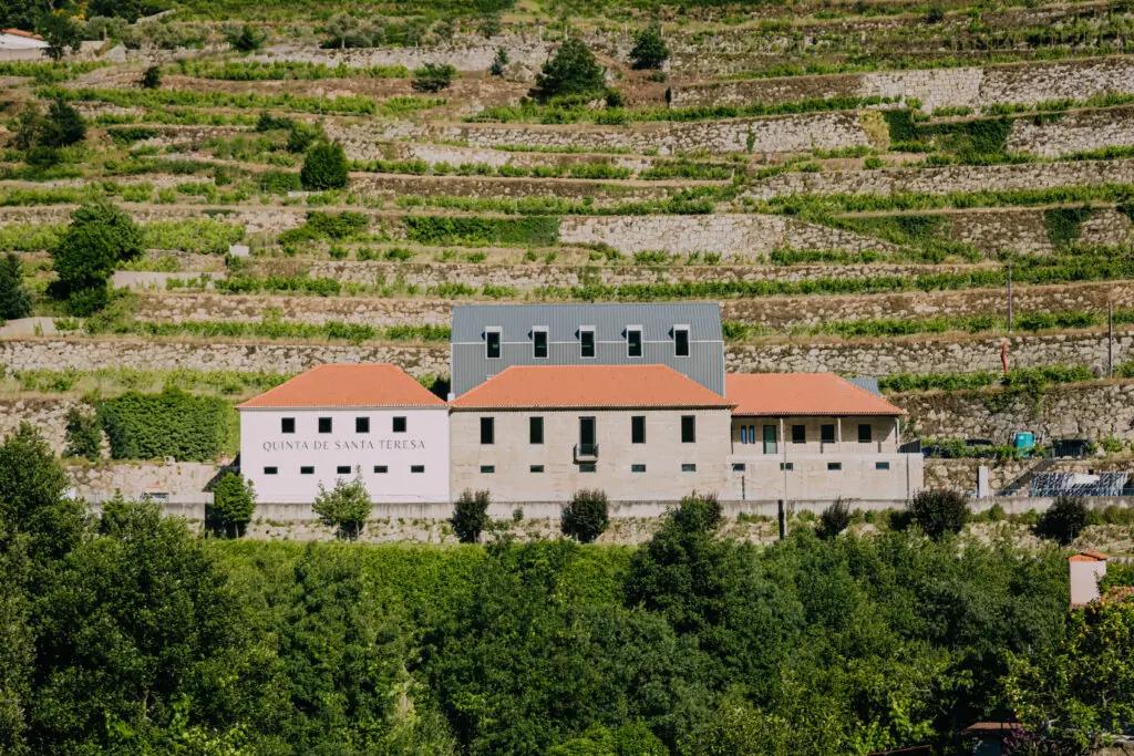 Rena viner från Portugals hjärta 