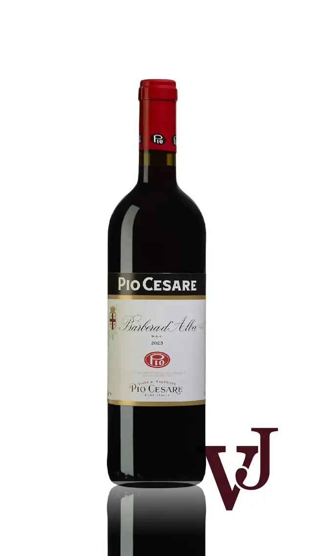 Barbera d’Alba Pio Cesare från www.vinjournalen.se