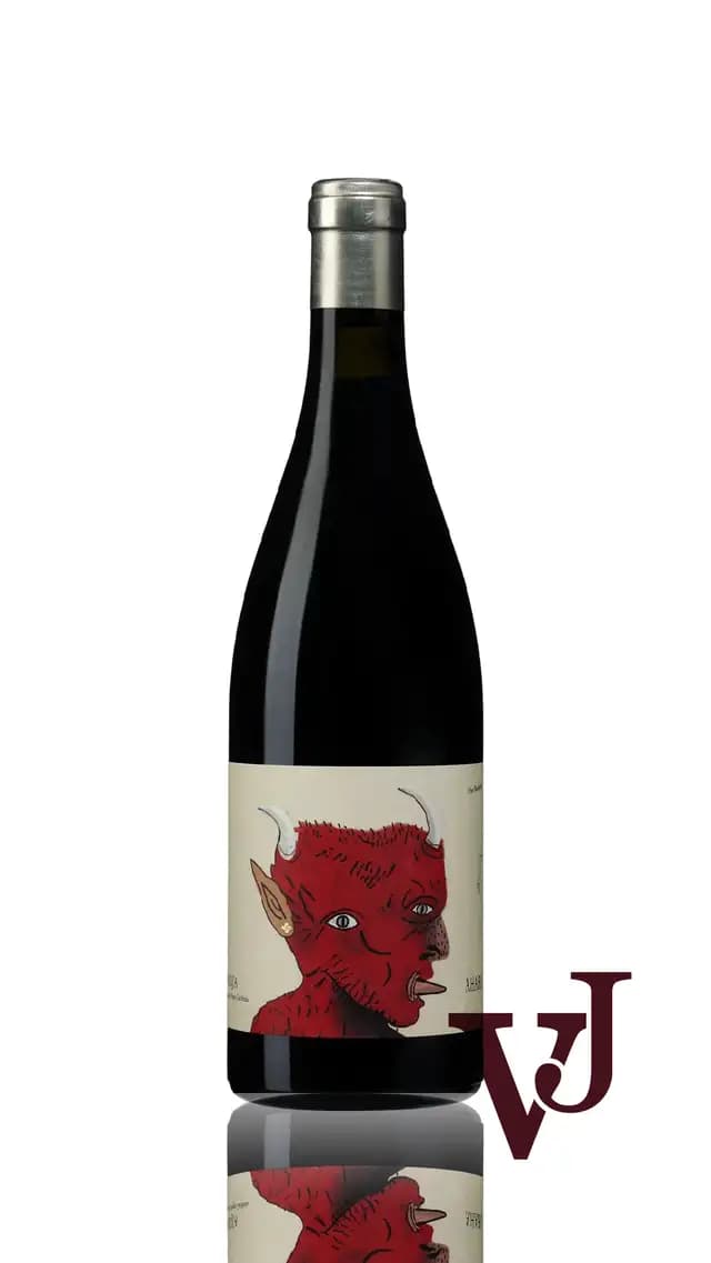 Oxer Bastegieta AHARI Rött vin från Rioja