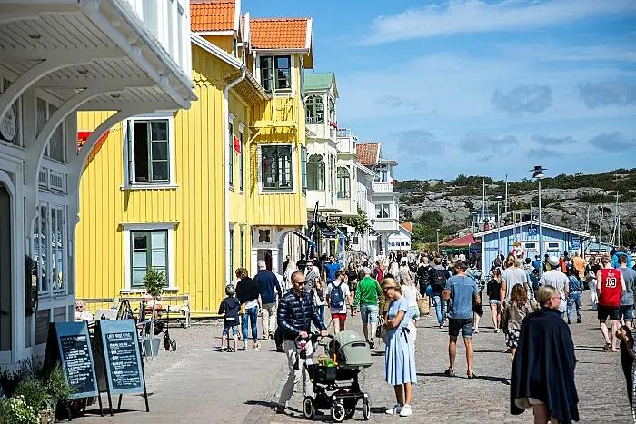 Växande vinproduktion i Sverige