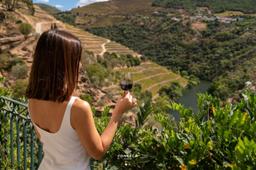 Fonseca Porto: Ett arv rotat i Douro-dalen