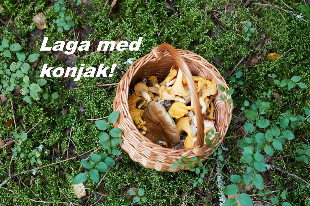 Höst: en skvätt konjak i maten…