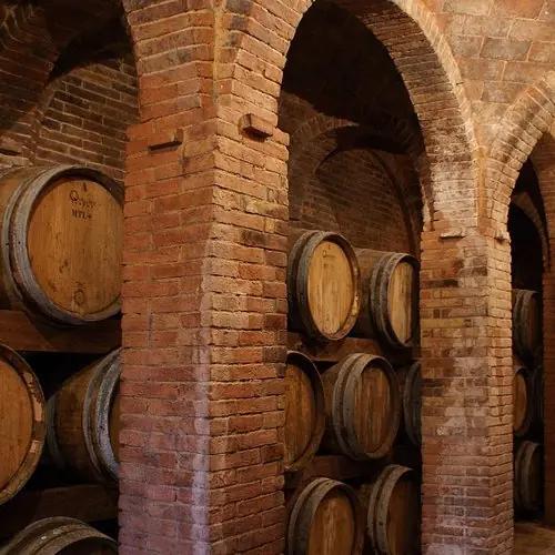 Fattoria Uccelliera – Toscanas viskning i vin och oliv