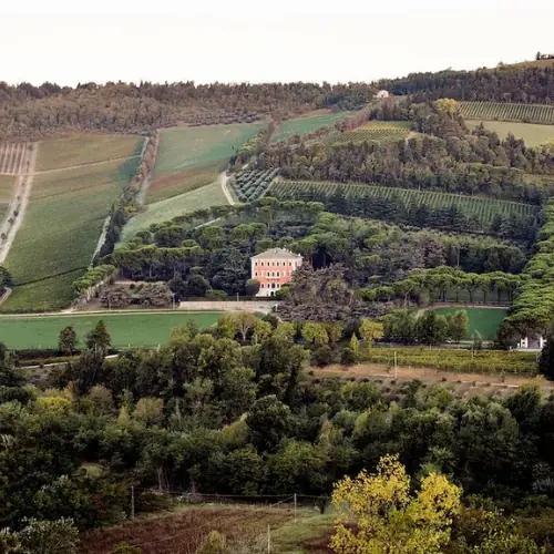 Pandolfa Noelia Ricci: Där uråldrig jord möter levande vin