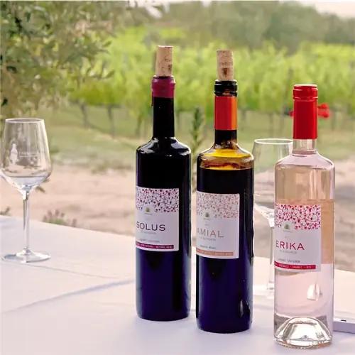 Biopaumerà: Ekologiskt vin med rötter i det katalanska landskapet